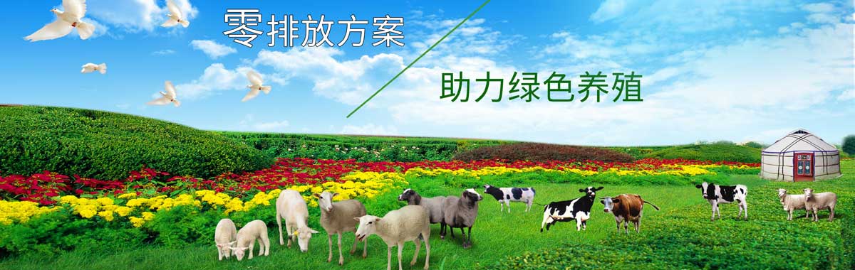 &#24320;&#20113;&#32593;&#39029;&#29256;&#95;&#24320;&#20113;&#40;&#20013;&#22269;&#41;&#23448;&#26041;